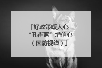 好政策暖人心 “孔雀蓝”增信心（国防视线）