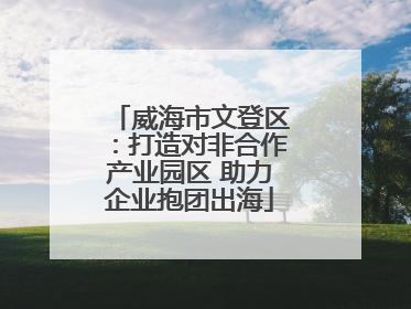 威海市文登区：打造对非合作产业园区 助力企业抱团出海