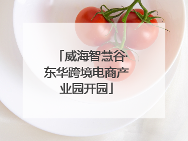威海智慧谷·东华跨境电商产业园开园