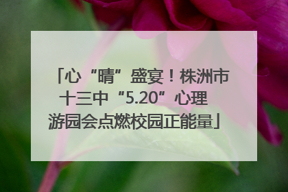 心“晴”盛宴！株洲市十三中“5.20”心理游园会点燃校园正能量