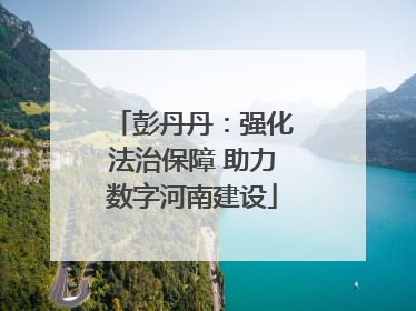 彭丹丹：强化法治保障 助力数字河南建设