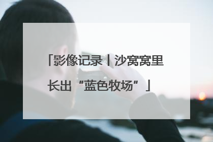 影像记录丨沙窝窝里长出“蓝色牧场”