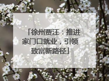 徐州贾汪：推进家门口就业，引领致富新路径