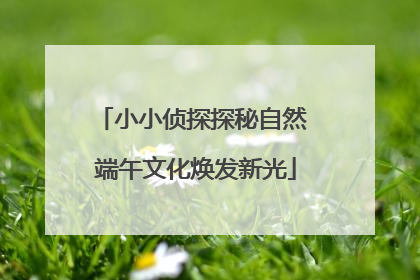 小小侦探探秘自然 端午文化焕发新光