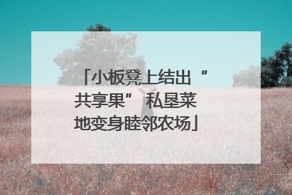 小板凳上结出“共享果” 私垦菜地变身睦邻农场