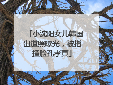 小沈阳女儿韩国出道照曝光，被指撞脸孔孝真
