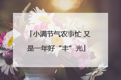 小满节气农事忙 又是一年好“丰”光