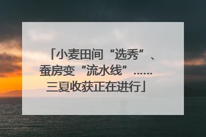 小麦田间“选秀”、蚕房变“流水线”……三夏收获正在进行
