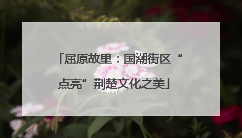 屈原故里：国潮街区“点亮”荆楚文化之美