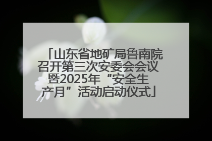 山东省地矿局鲁南院召开第三次安委会会议暨2025年“安全生产月”活动启动仪式