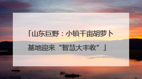 山东巨野：小镇千亩胡萝卜基地迎来“智慧大丰收”