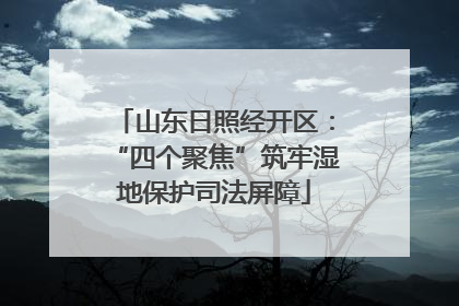 山东日照经开区：“四个聚焦”筑牢湿地保护司法屏障