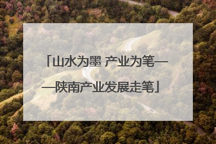 山水为墨 产业为笔——陕南产业发展走笔