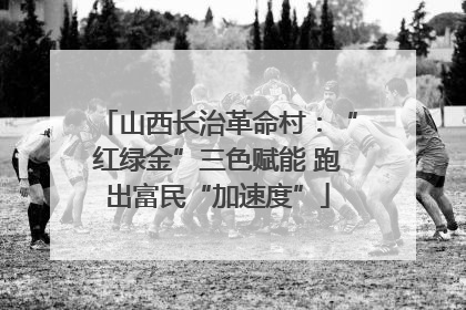山西长治革命村：“红绿金”三色赋能 跑出富民“加速度”