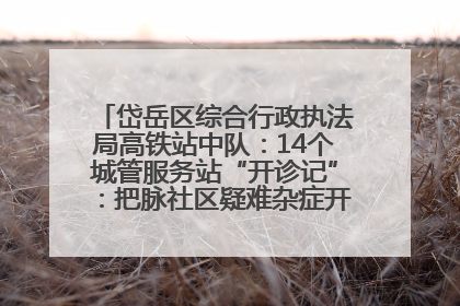 岱岳区综合行政执法局高铁站中队：14个城管服务站“开诊记”：把脉社区疑难杂症开出治理良方