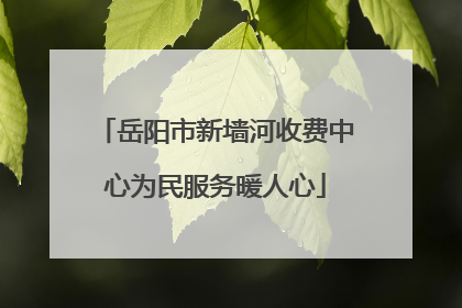 岳阳市新墙河收费中心为民服务暖人心