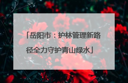 岳阳市：护林管理新路径全力守护青山绿水