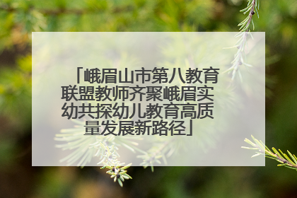 峨眉山市第八教育联盟教师齐聚峨眉实幼共探幼儿教育高质量发展新路径