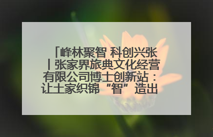 峰林聚智 科创兴张丨张家界旅典文化经营有限公司博士创新站：让土家织锦“智”造出非遗新传奇