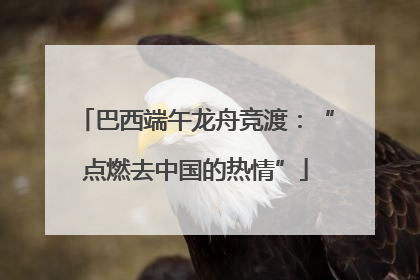 巴西端午龙舟竞渡：“点燃去中国的热情”