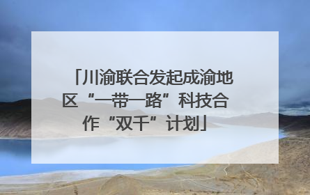 川渝联合发起成渝地区“一带一路”科技合作“双千”计划