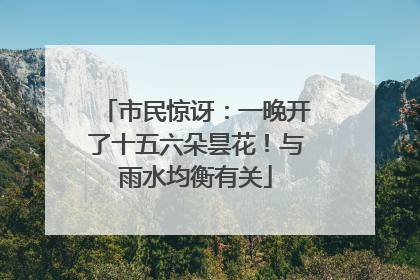 市民惊讶：一晚开了十五六朵昙花！与雨水均衡有关