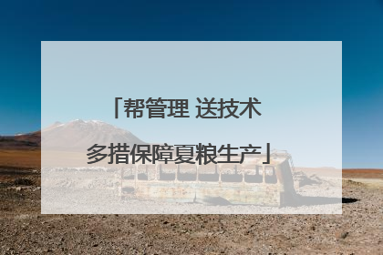 帮管理 送技术 多措保障夏粮生产