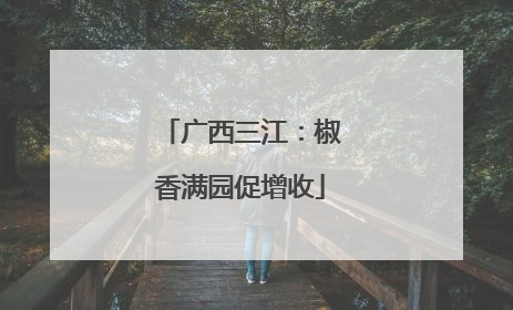 广西三江：椒香满园促增收