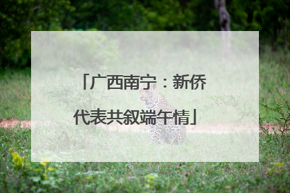 广西南宁：新侨代表共叙端午情