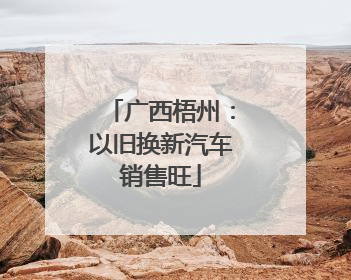 广西梧州：以旧换新汽车销售旺
