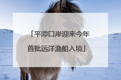 平潭口岸迎来今年首批远洋渔船入境