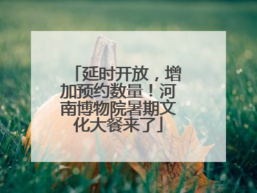 延时开放，增加预约数量！河南博物院暑期文化大餐来了