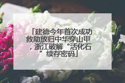 建德今年首次成功救助放归中华穿山甲，浙江破解“活化石”续存密码