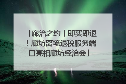 廊洽之约丨即买即退！廊坊离境退税服务端口亮相廊坊经洽会