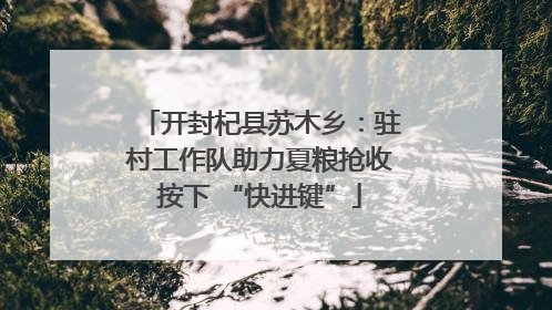 开封杞县苏木乡：驻村工作队助力夏粮抢收按下 “快进键”