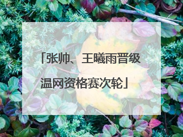 张帅、王曦雨晋级温网资格赛次轮