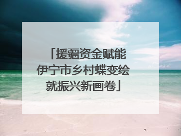 援疆资金赋能 伊宁市乡村蝶变绘就振兴新画卷