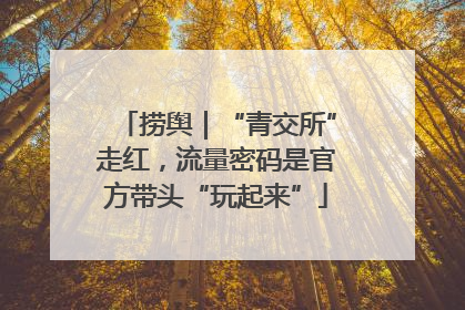 捞舆｜“青交所”走红，流量密码是官方带头“玩起来”