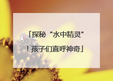 探秘“水中精灵”！孩子们直呼神奇
