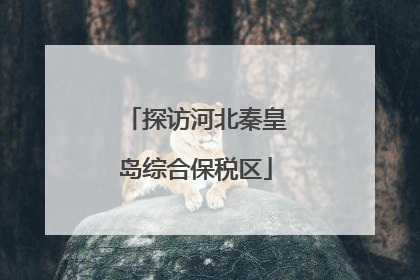 探访河北秦皇岛综合保税区