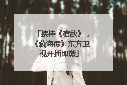 接棒《宿敌》，《藏海传》东方卫视开播即燃