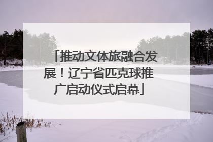 推动文体旅融合发展！辽宁省匹克球推广启动仪式启幕