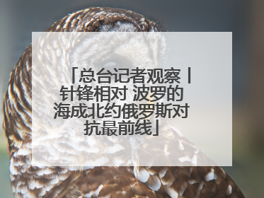 总台记者观察丨针锋相对 波罗的海成北约俄罗斯对抗最前线