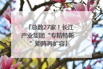 总数27家！长江产业集团“专精特新”矩阵再扩容