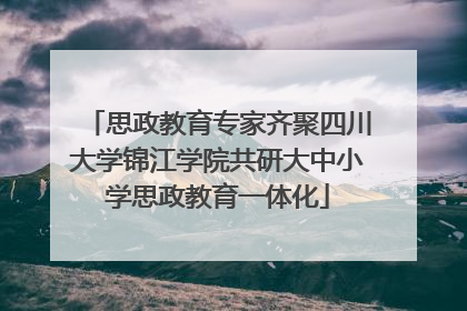 思政教育专家齐聚四川大学锦江学院共研大中小学思政教育一体化
