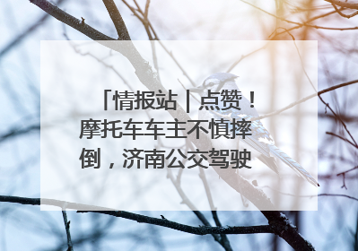 情报站｜点赞！摩托车车主不慎摔倒，济南公交驾驶员暖心帮扶！