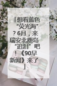 想看蓝色“荧光海”？6月，来瑞安北麂岛“追泪”吧！《90早新闻》来了