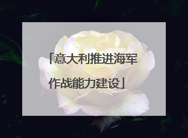 意大利推进海军作战能力建设