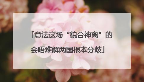 意法这场“貌合神离”的会晤难解两国根本分歧