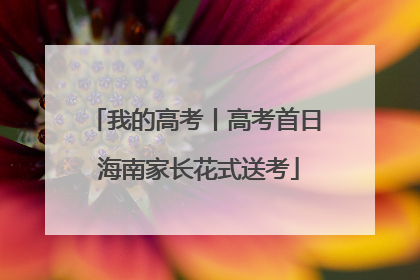 我的高考丨高考首日 海南家长花式送考